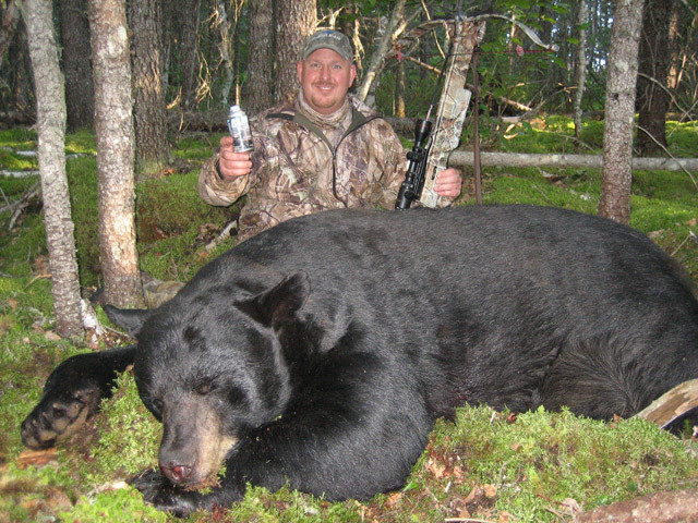 Dan Wallace - Ontario Black Bear