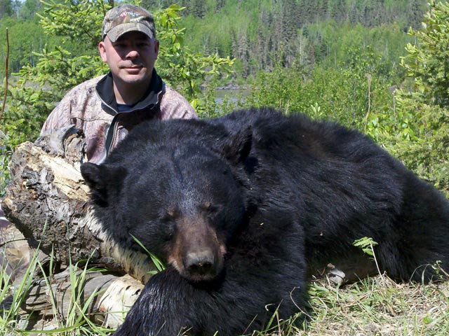 Troy Lauffer - Alberta Black Bear