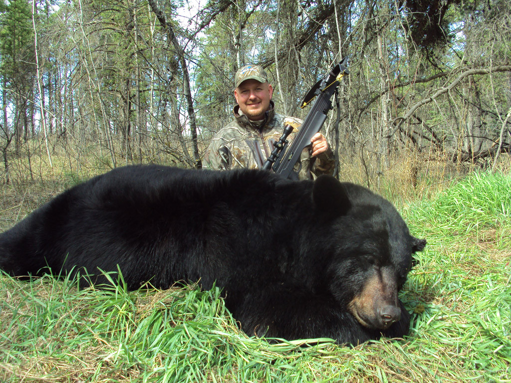 Dan Wallace - Saskatchewan Black Bear