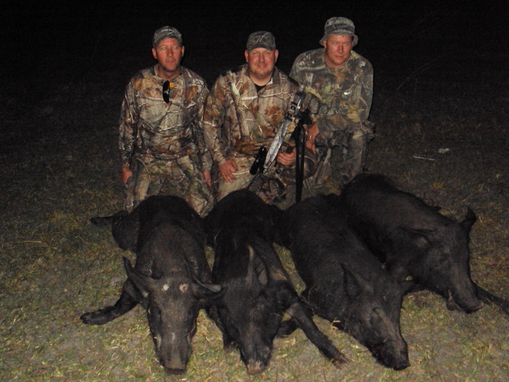 Ken Brown, Dan Wallace, Scott Boehl - Florida Hogs