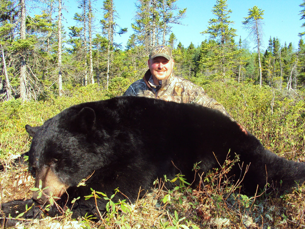 Dan Wallace - Newfoundland Black Bear