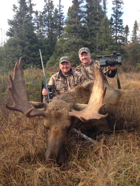Dan Wallace and Paul Payne - Newfoundland Adventures Moose