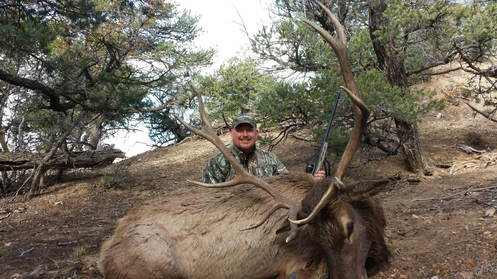 Dan Wallace - New Mexico Elk