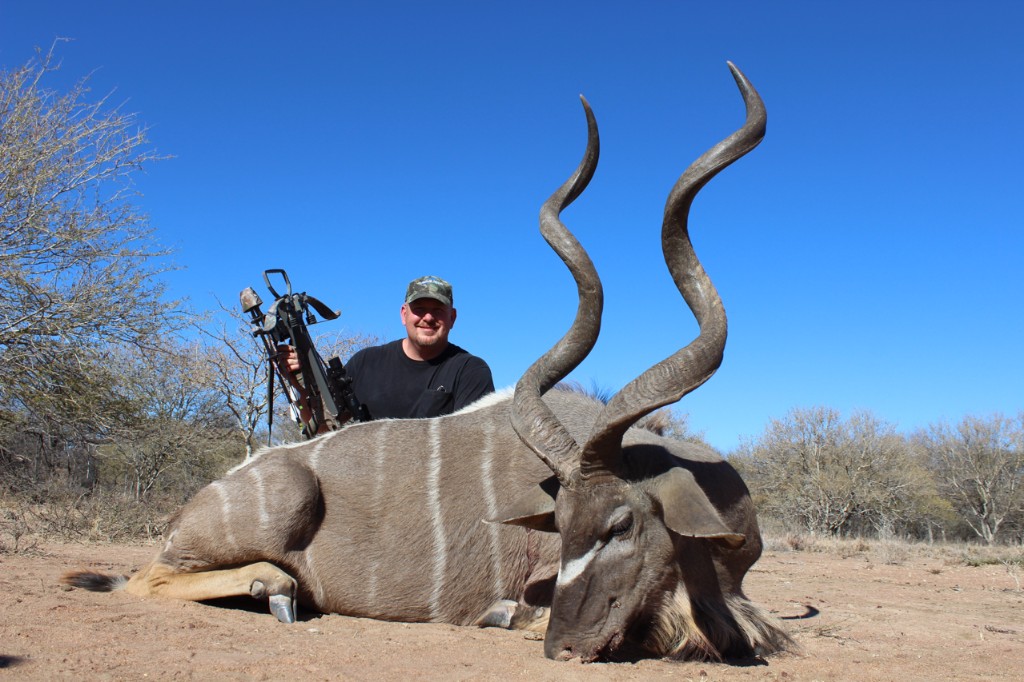 Dan Wallace: Koringkoppie Safaris Kudu Bull