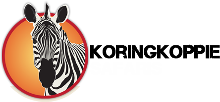 Koringkoppie Safaris