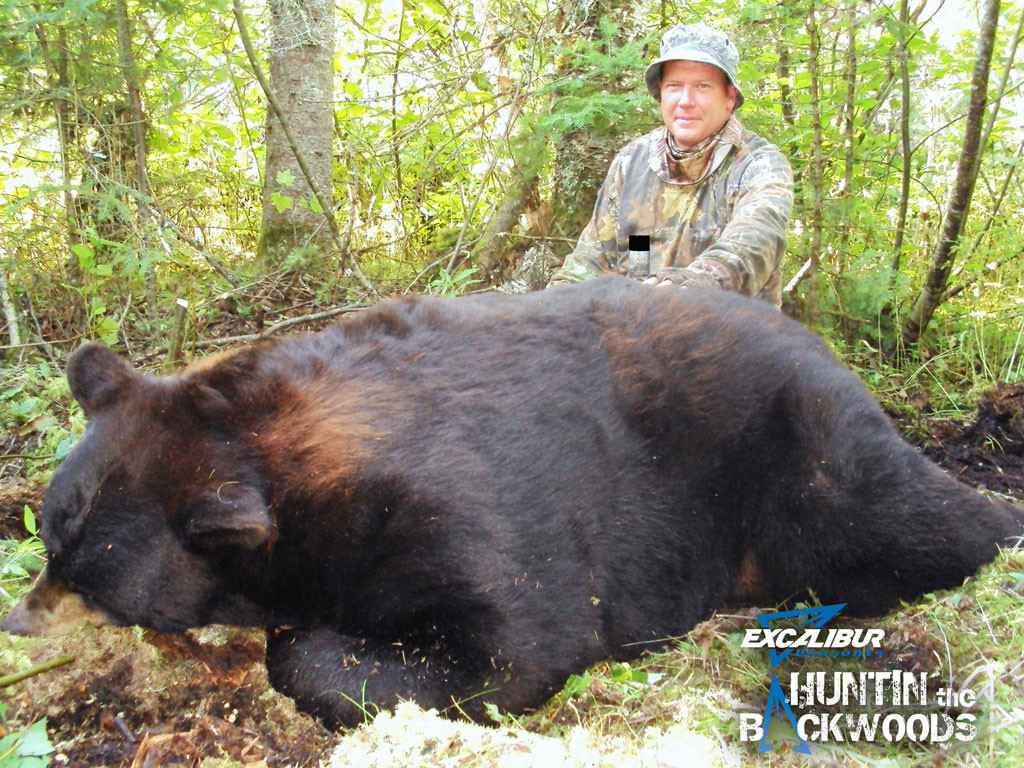 Scott Boehl - 776 Pound Manitoba Color-Phase Bear
