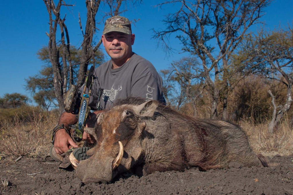 Troy Lauffer: Koringkoppie Safaris Warthog